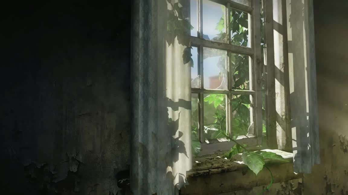 Download Ruins Window