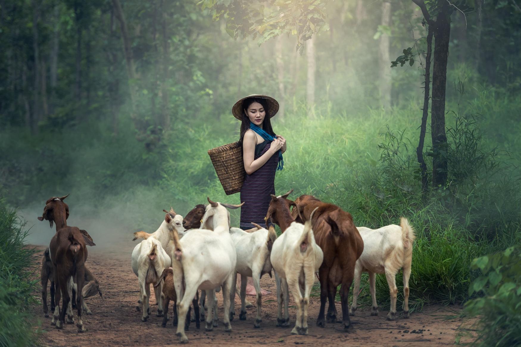 Download woman wearing blue dress