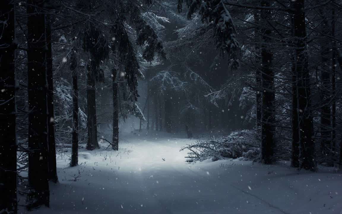 Download Winter Snow Forest