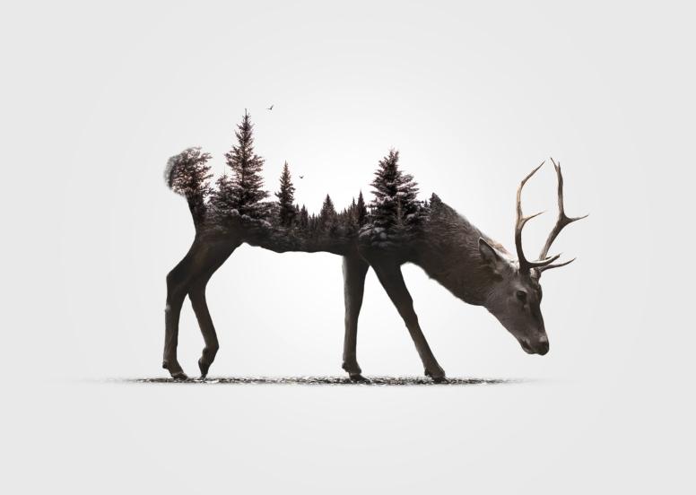 Download black reindeer illustration digital