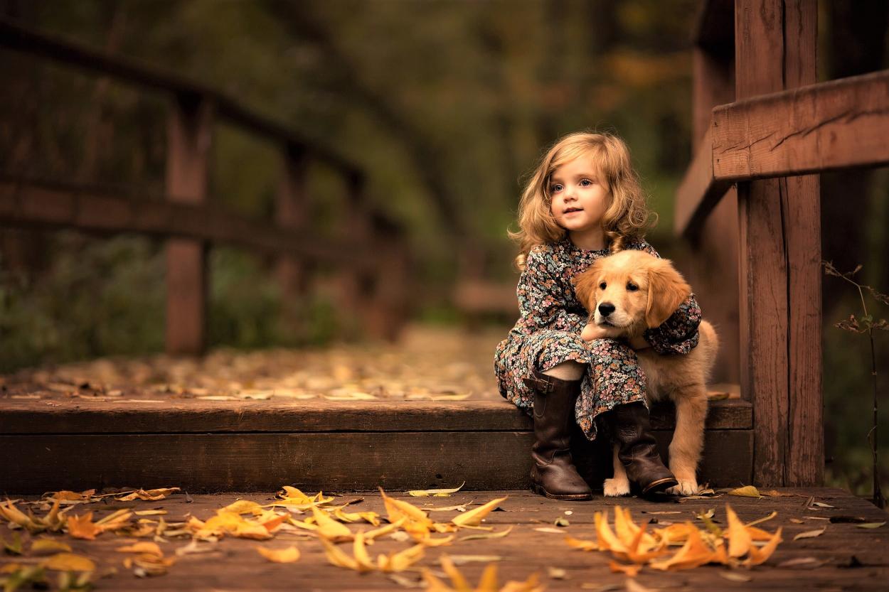 Download little girl labrador retriever