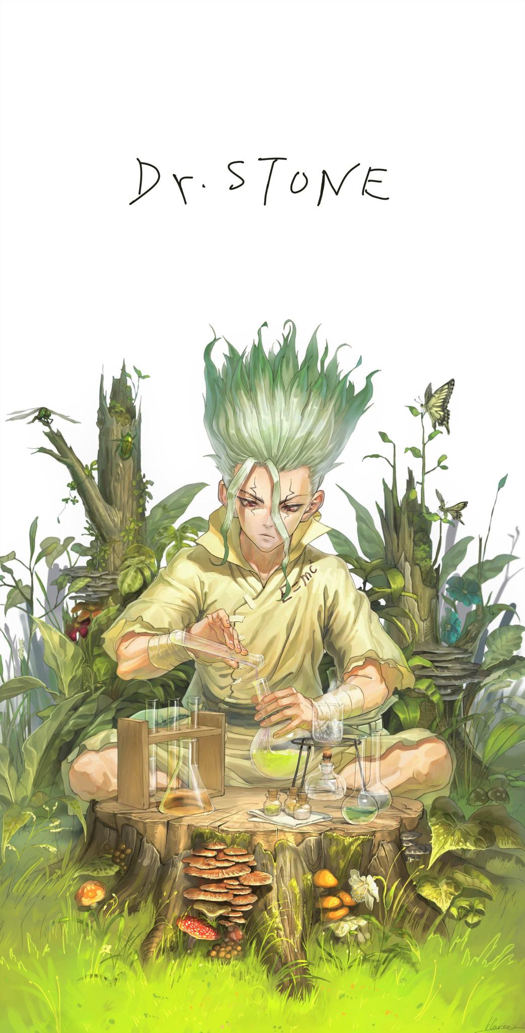 Download dr Stone Plant Botany Terrestrial