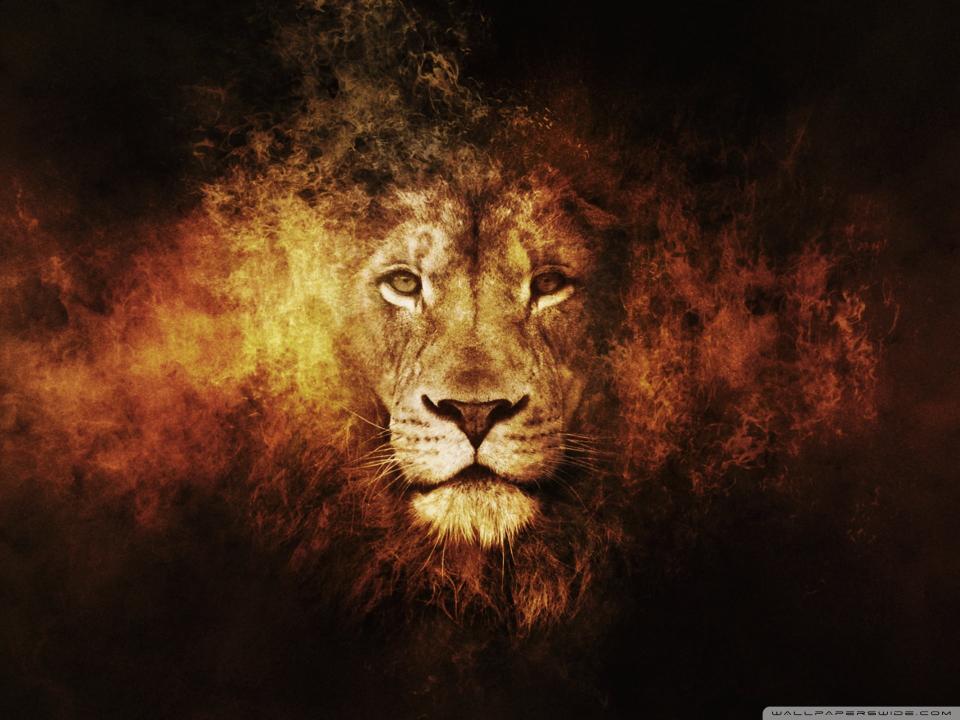 Download lion digital  animals