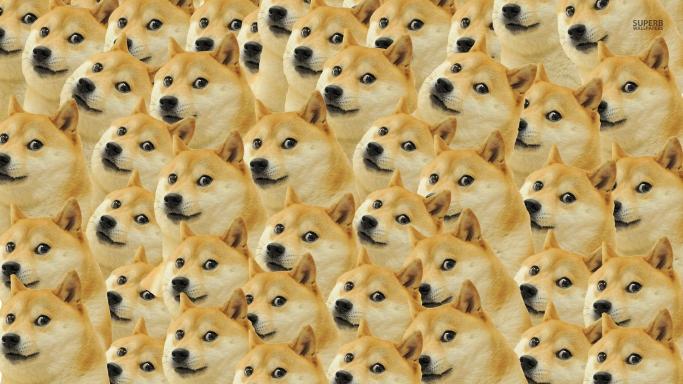 Download tan akita dog doge