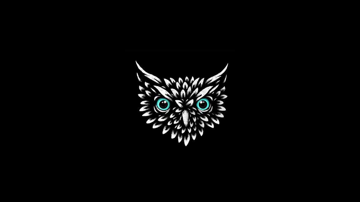 Download Owl Head