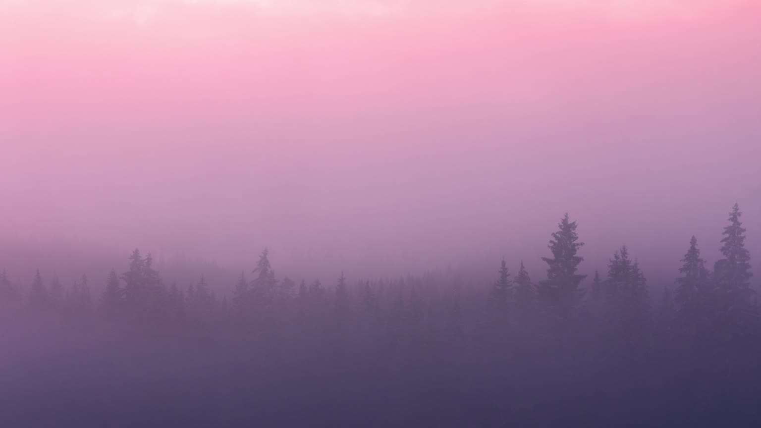 Download Minimal Foggy Forest