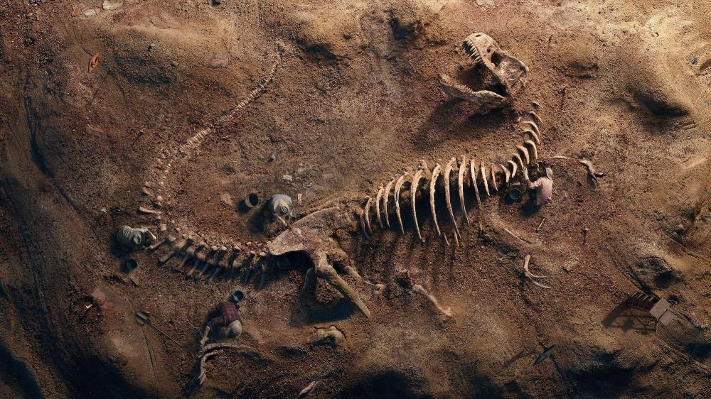 Download T-Rex Fossil.4k 8k HD