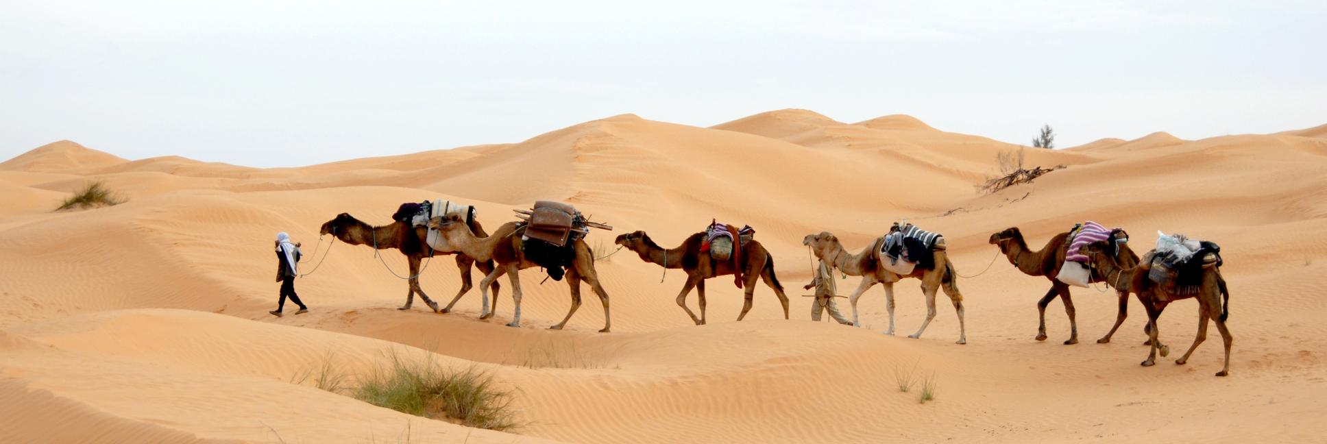 Download man walking on desert