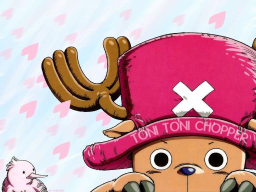 Download anime doctor one Piece