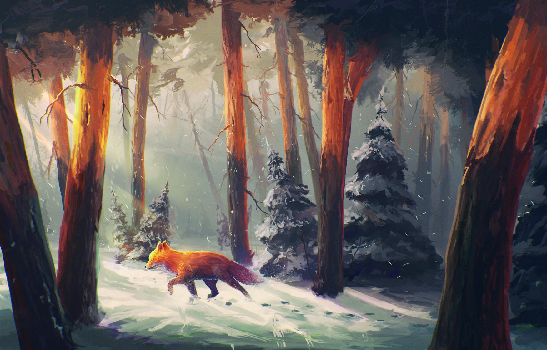 Download red fox on forest