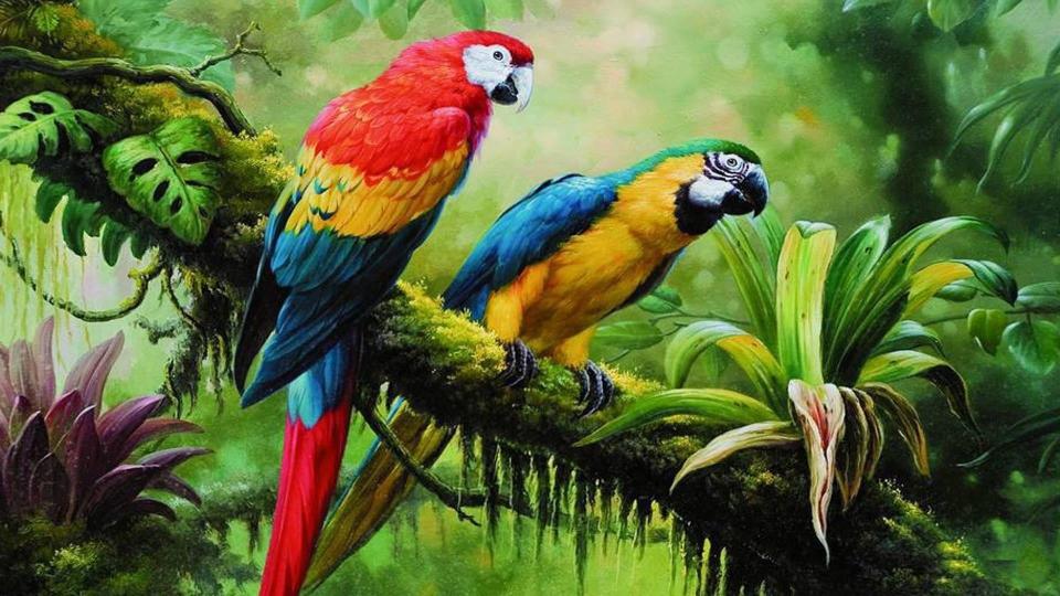 Download bird parrot jungle brach