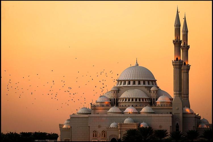 Download white and brown mosque