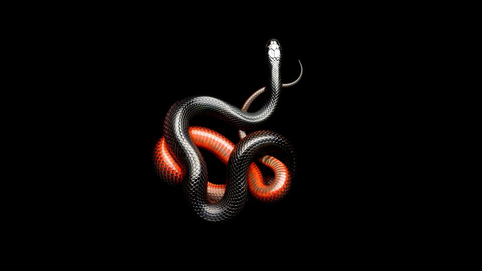 Download red and black snakes