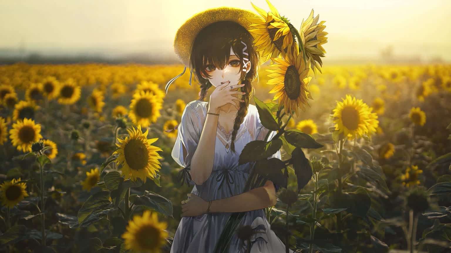 Download Sunflower Field