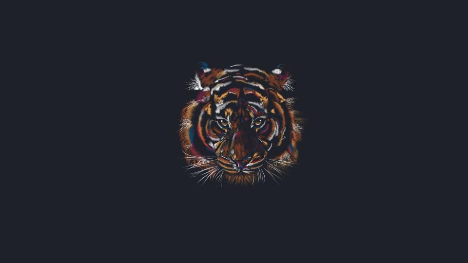 Download Animal Artistic Minimalist Tiger