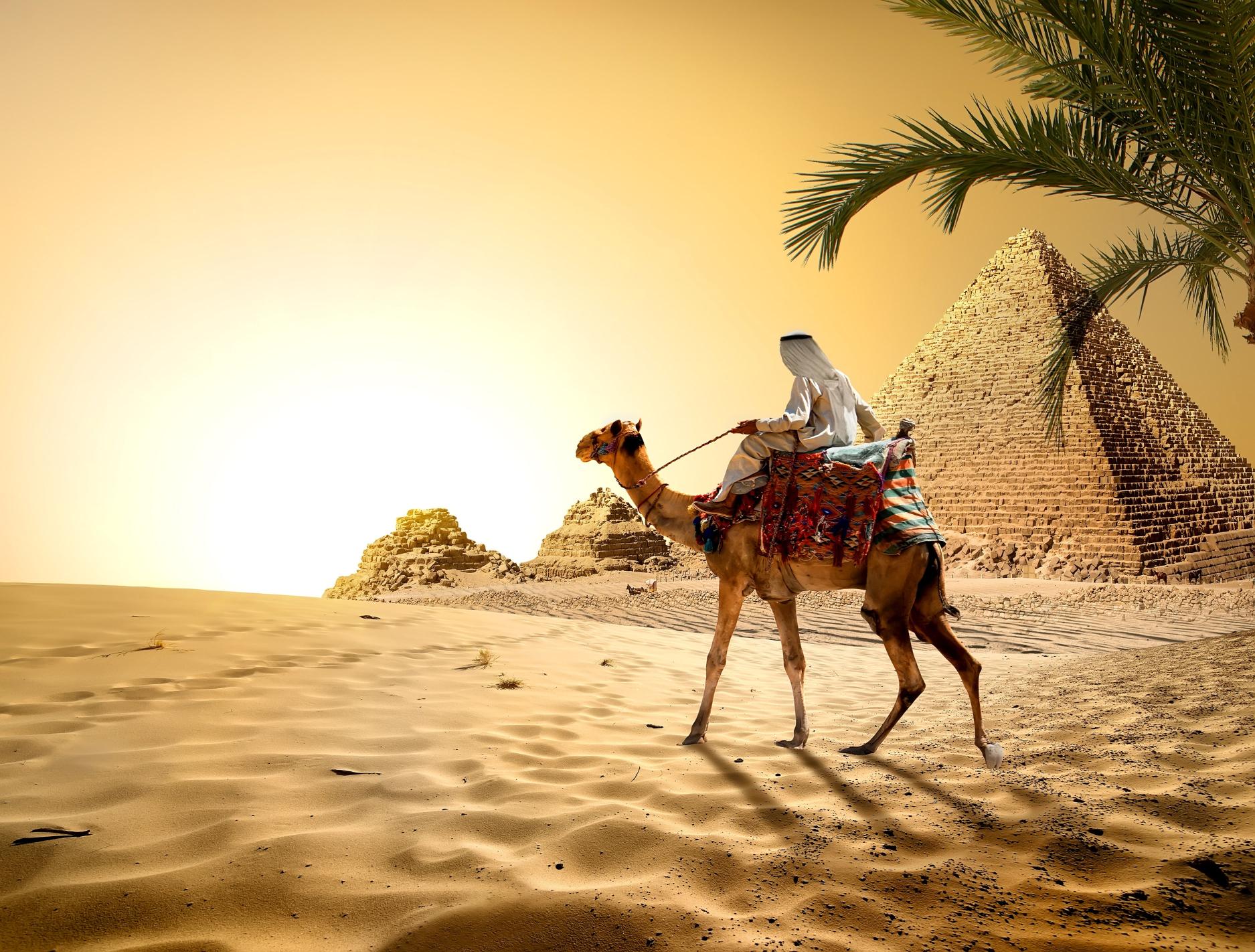 Download man riding camel