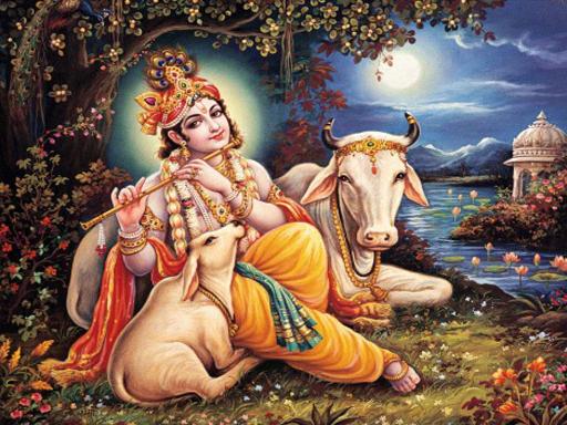 Download Lord Krishna And Cow