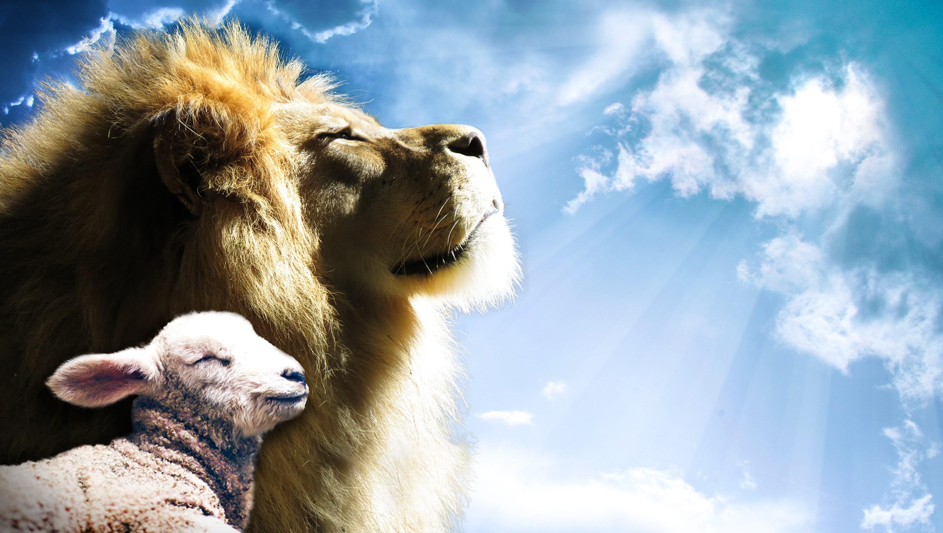 Download lion lamb sky jesus