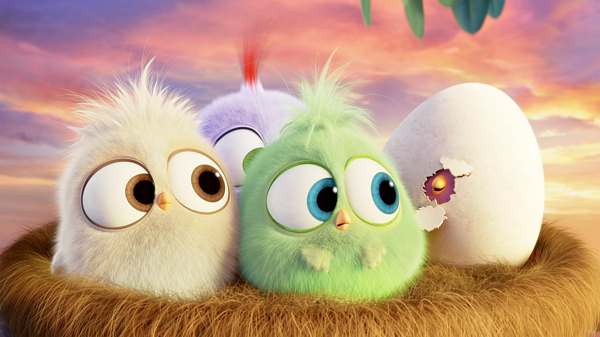 Download angry birds movies animated