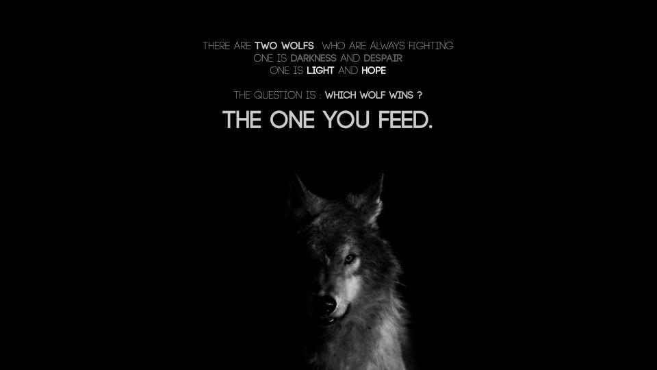 Download wolf digital  quote