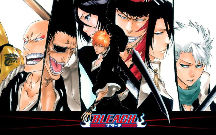 Download anime Bleach human representation