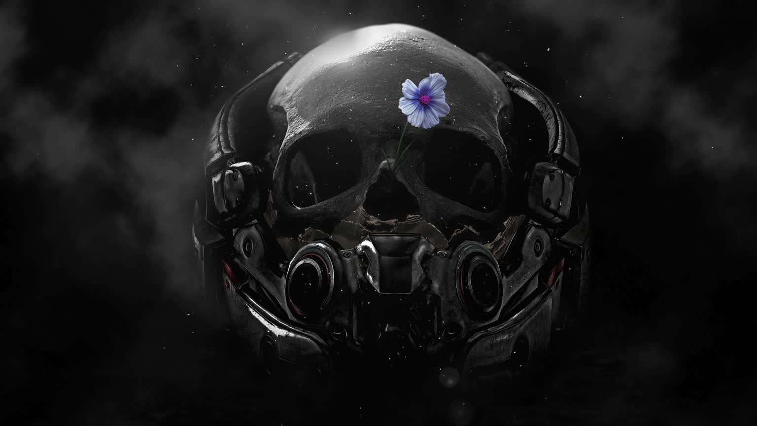 Download Nature Skull