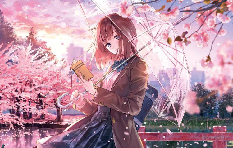 Download cherry blossom umbrella anime