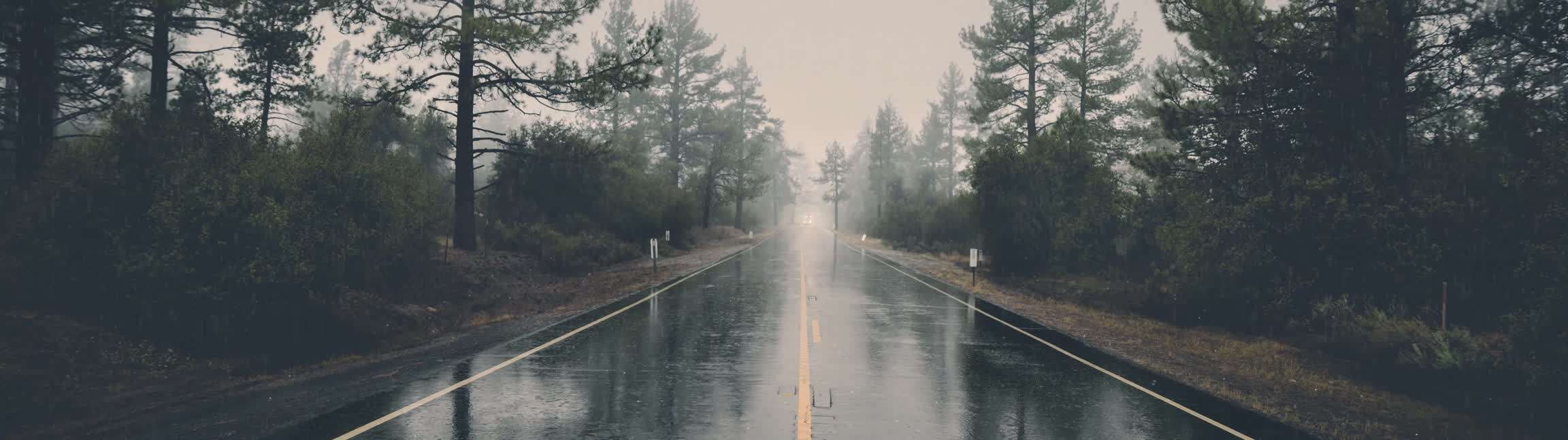 Download Rainy Road