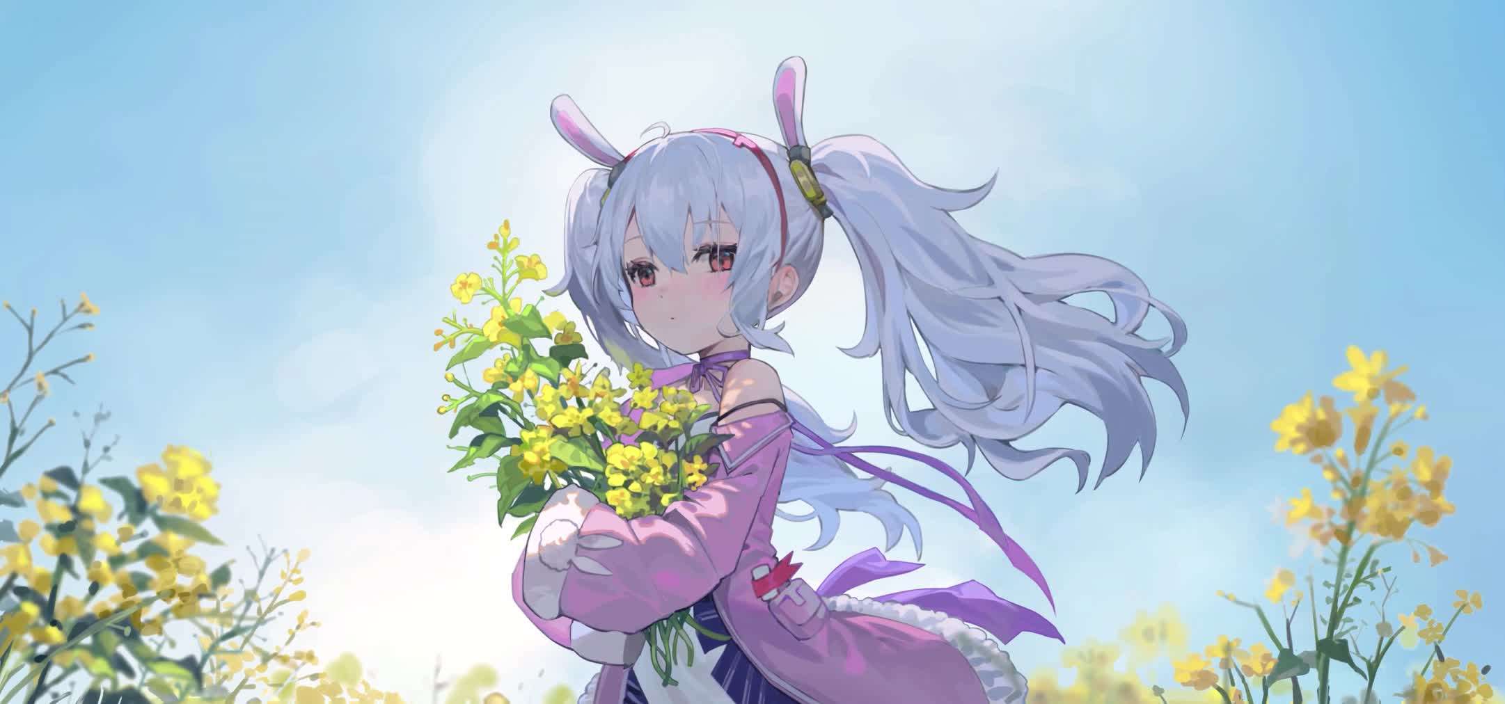 Download Laffey