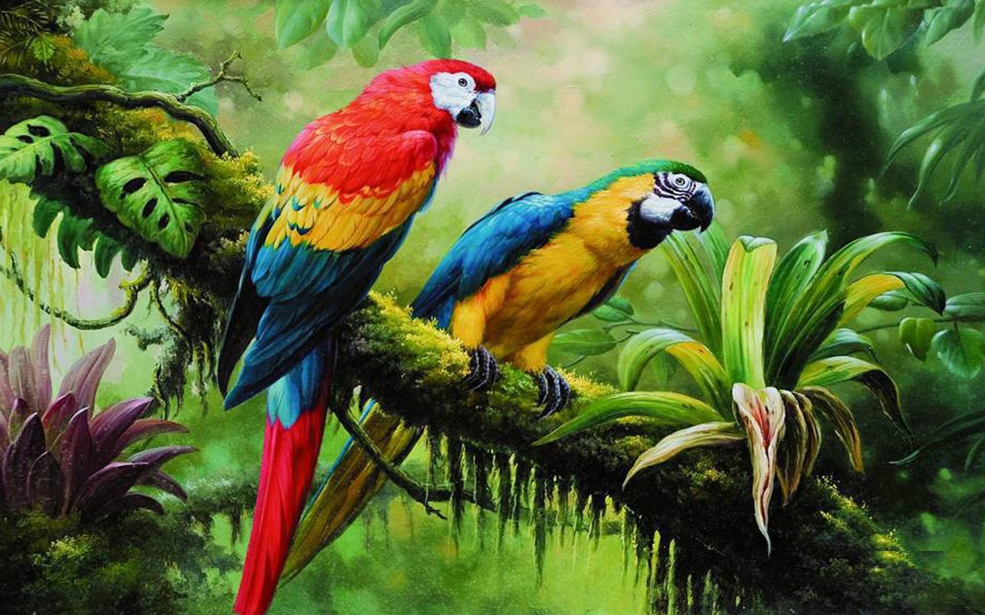 Download Macaw Parrot Wild Birds