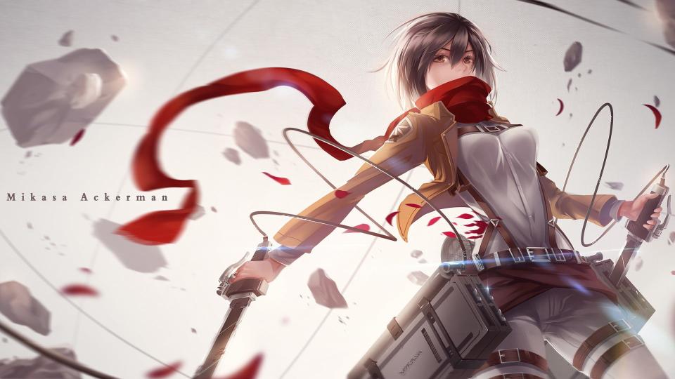 Download Mikasa of Attack of