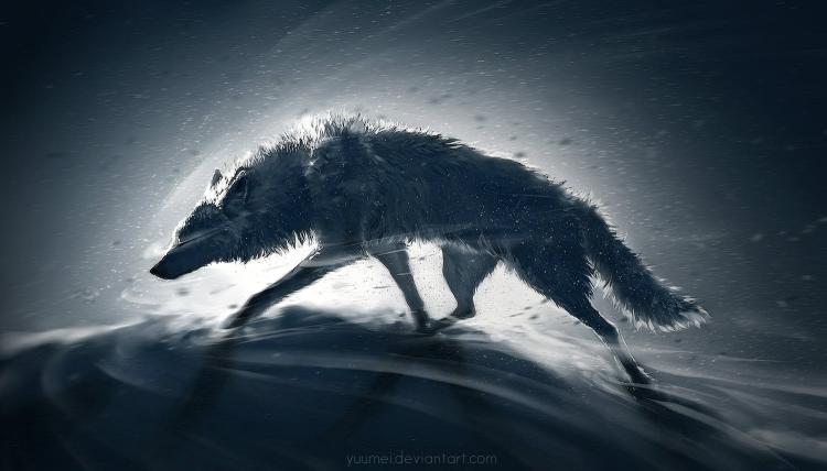 Download gray wolf illustration animals