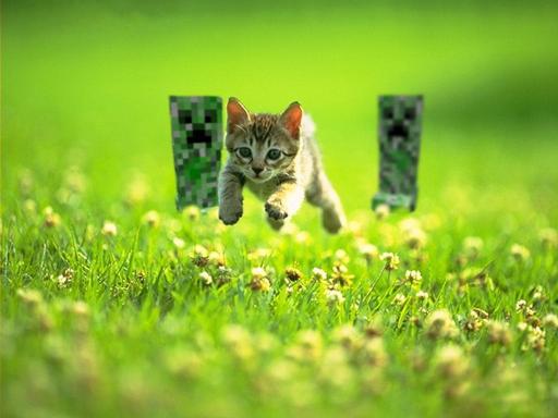 Download kitten jumping on green