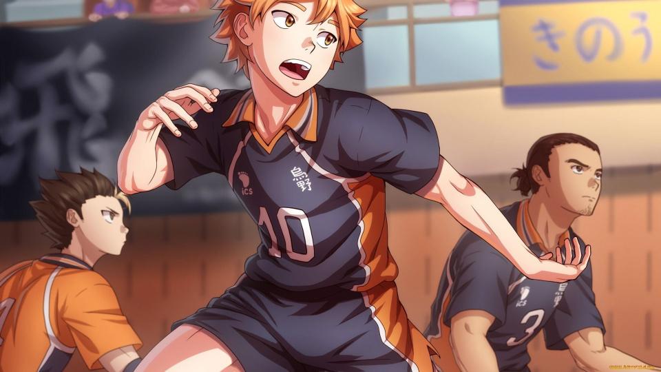 Download Haikyuu!! Hinata Shouyou Azumane