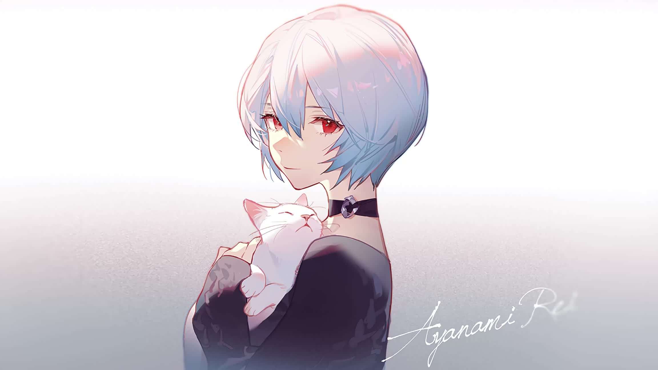 Download Rei Ayanami