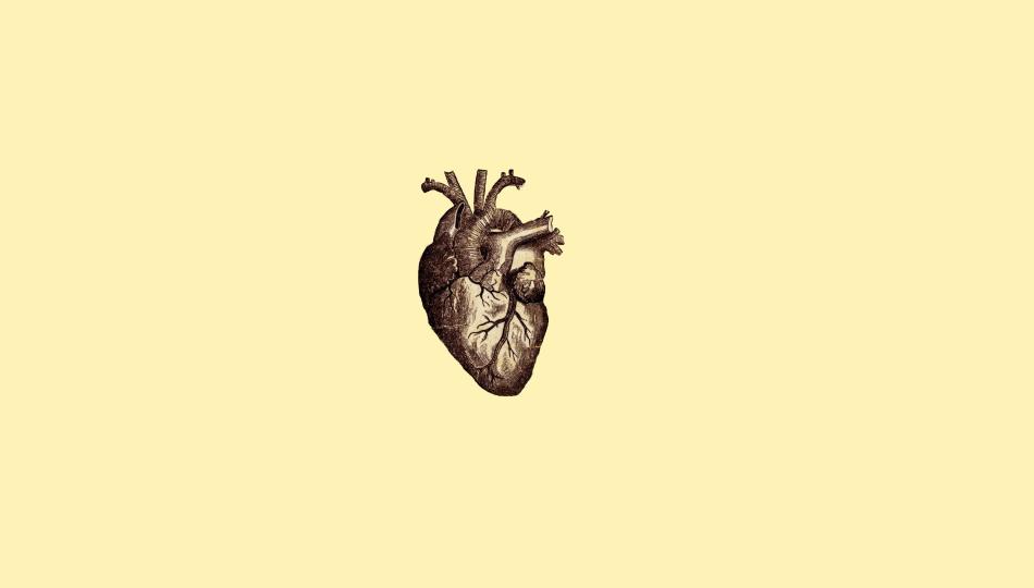 Download human heart illustration digital