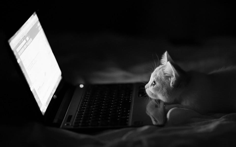 Download laptop computer grayscale photo