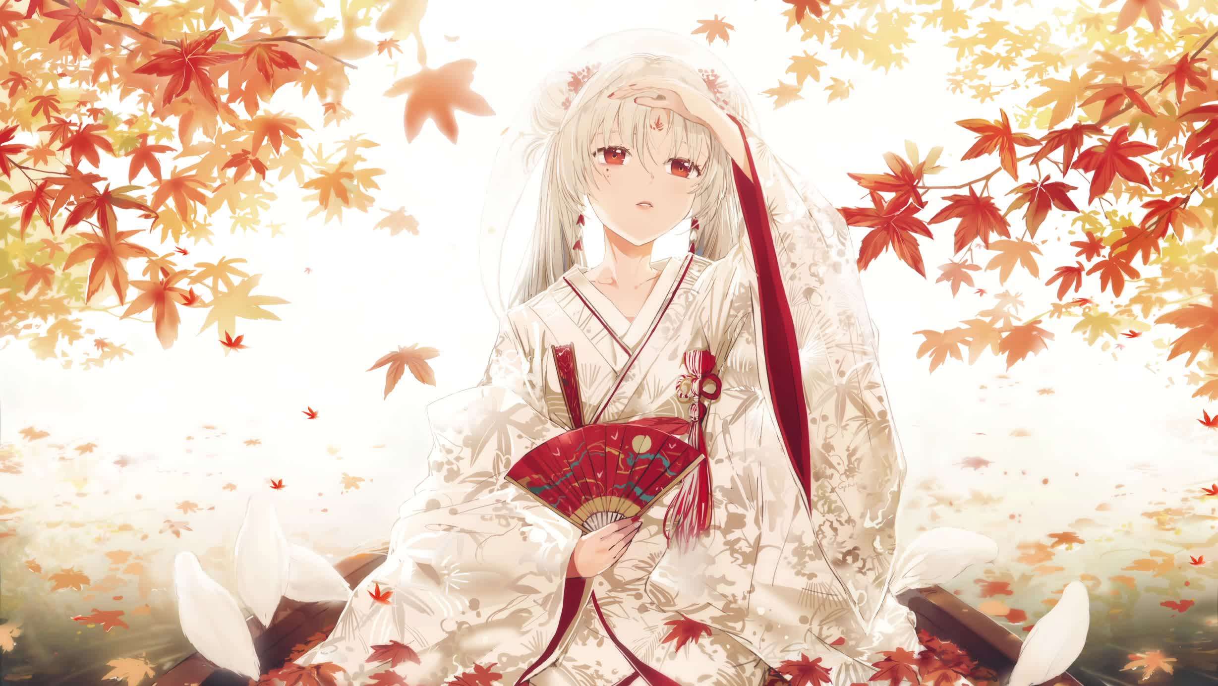 Download Shiranui Sitting Under Maples