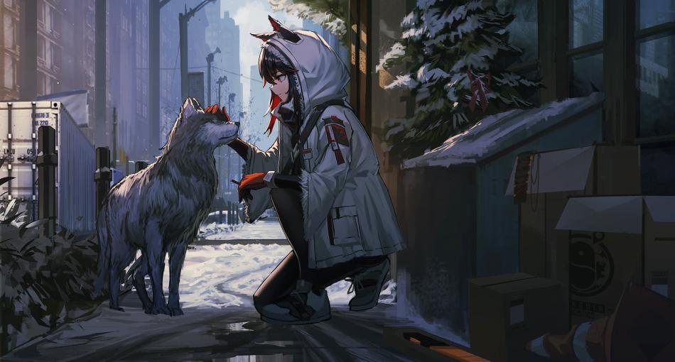 Download Arknights animal ears wolf