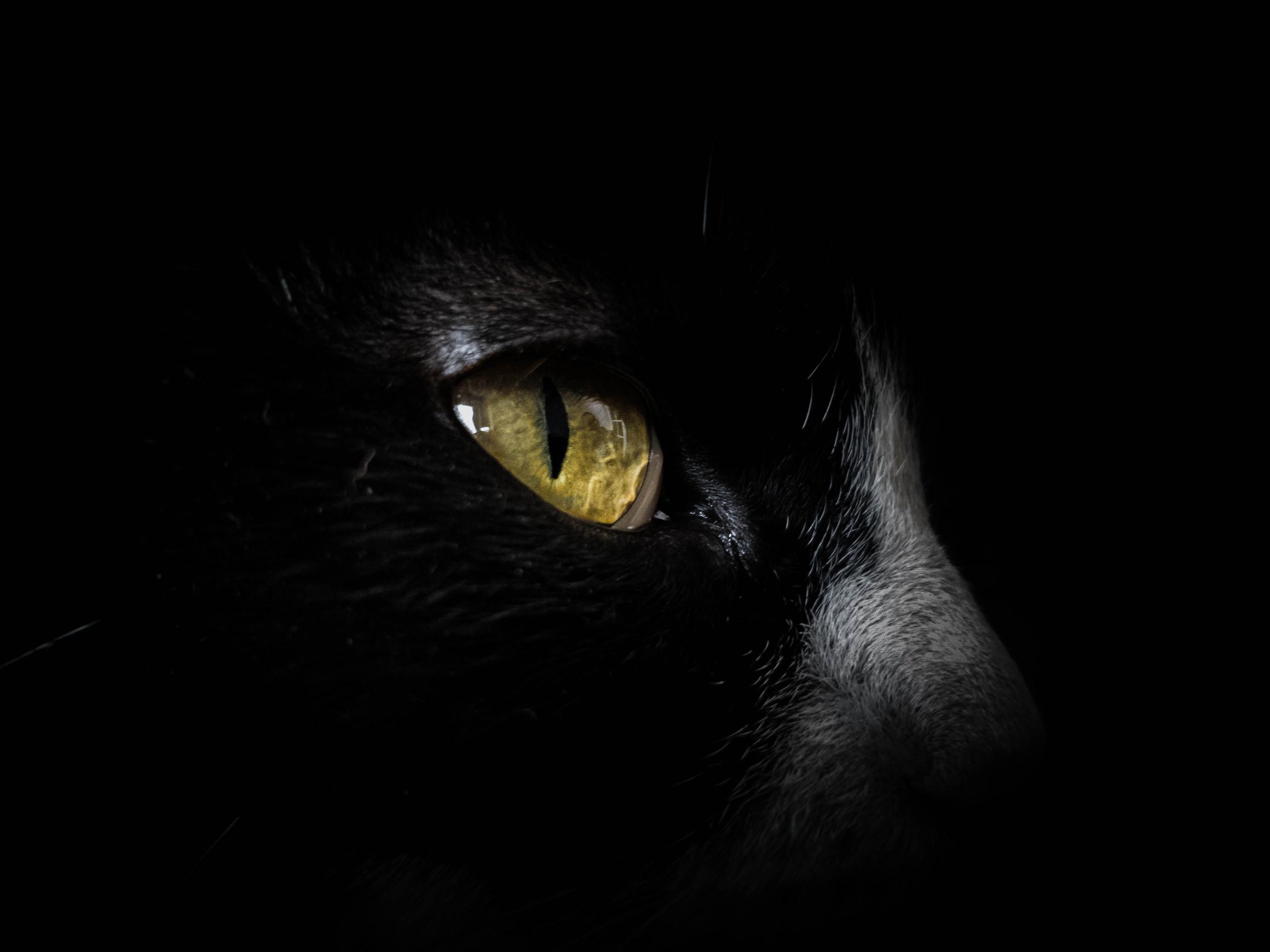 Download cat eye black amoled