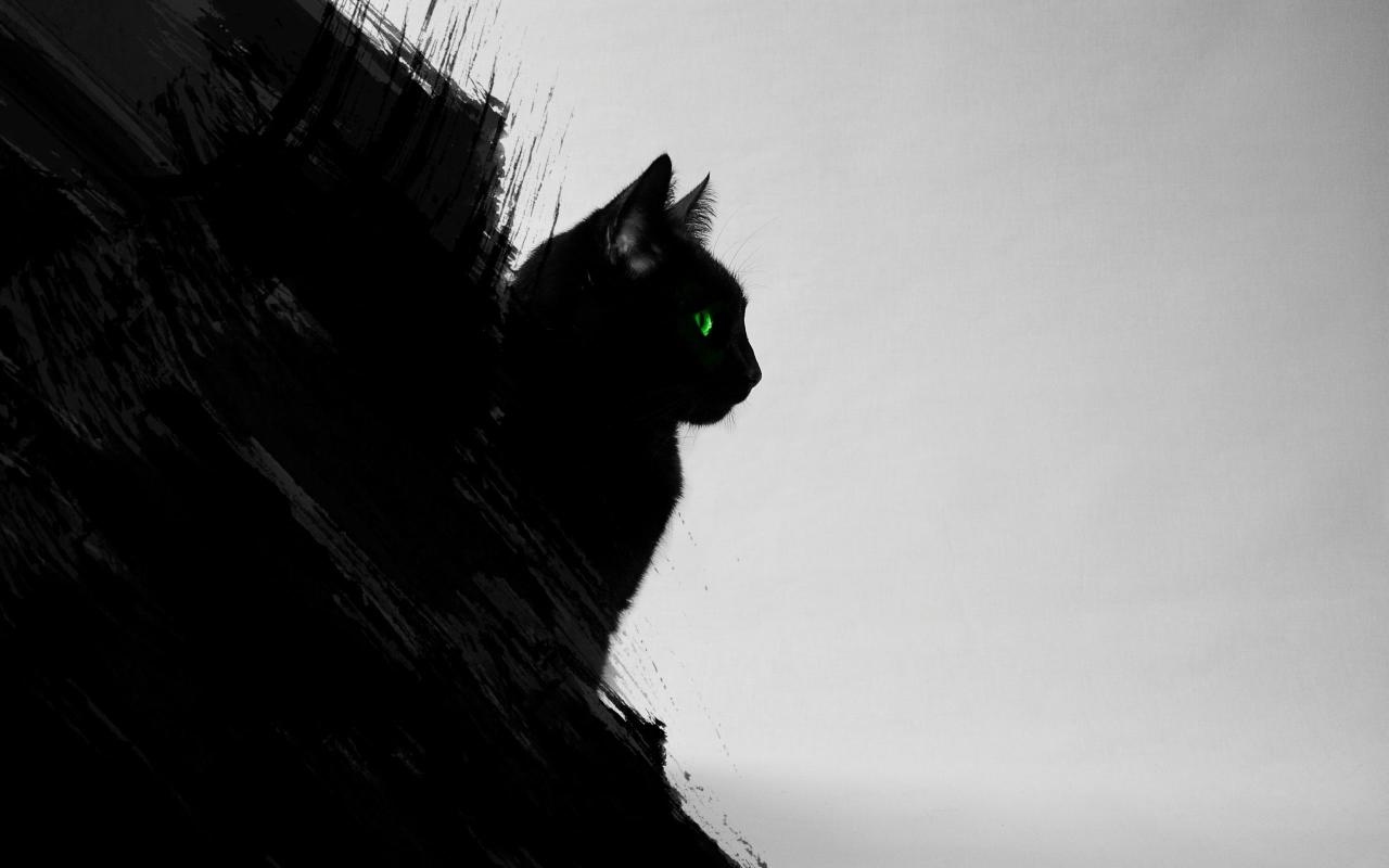 Download cat silhouette black cats