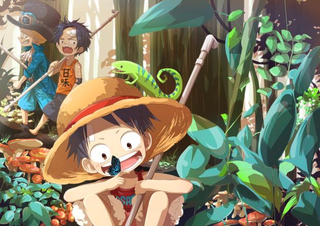 Download One Piece Luffy Ace