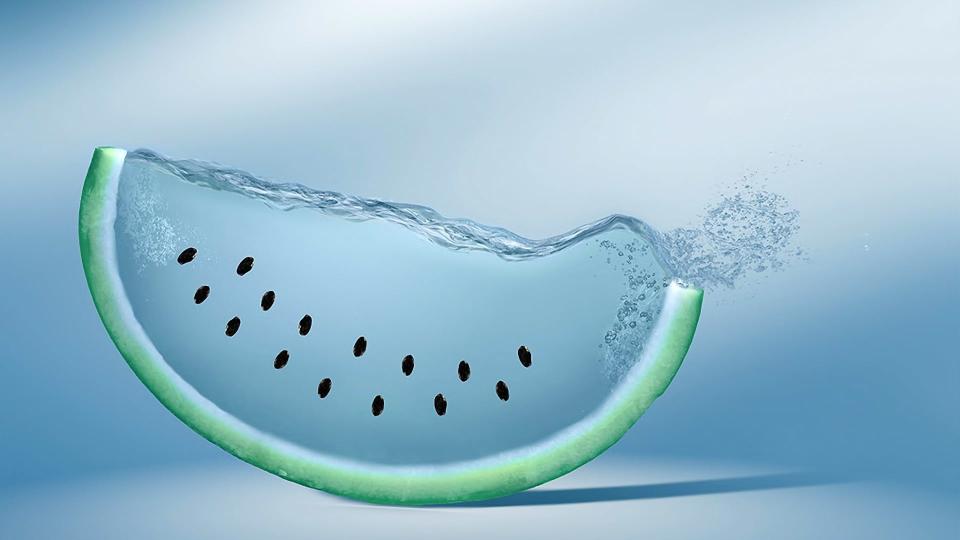 Download watermelon illustration creativity watermelons