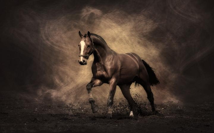 Download brown horse painting animals