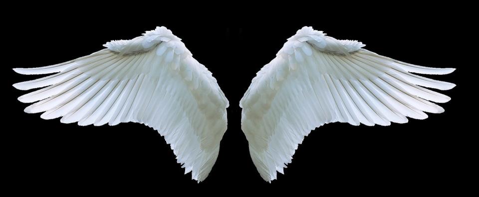 Download two white wings angel